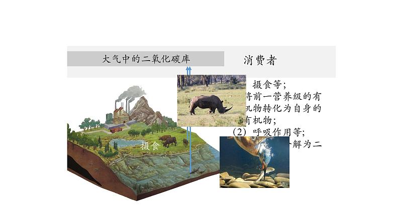 3.3生态系统的物质循环（第一课时）课件【新教材】人教版（2019）高中生物选择性必修二 第6页