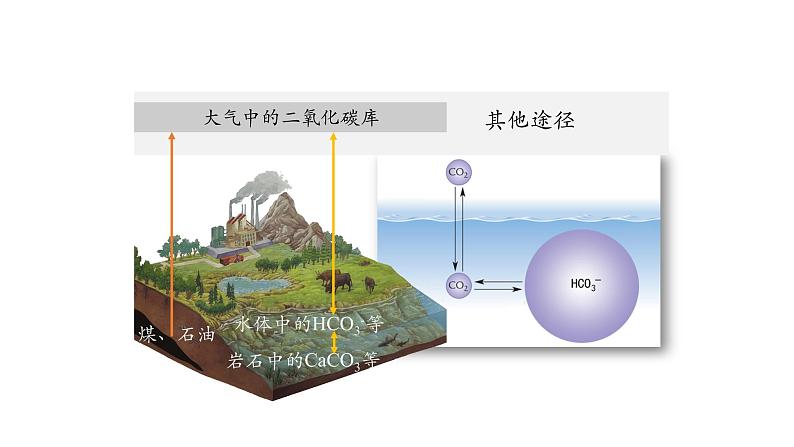 3.3生态系统的物质循环（第一课时）课件【新教材】人教版（2019）高中生物选择性必修二 第8页