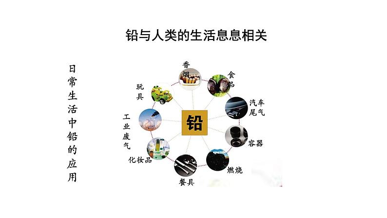 3.3生态系统的物质循环（第二课时）课件【新教材】人教版（2019）高中生物选择性必修二 第2页