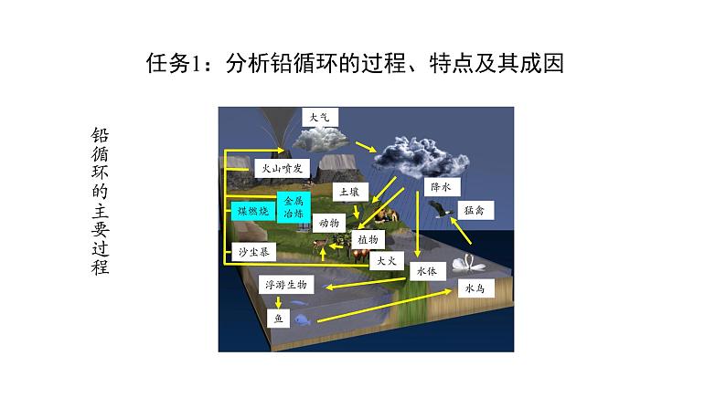 3.3生态系统的物质循环（第二课时）课件【新教材】人教版（2019）高中生物选择性必修二 第4页