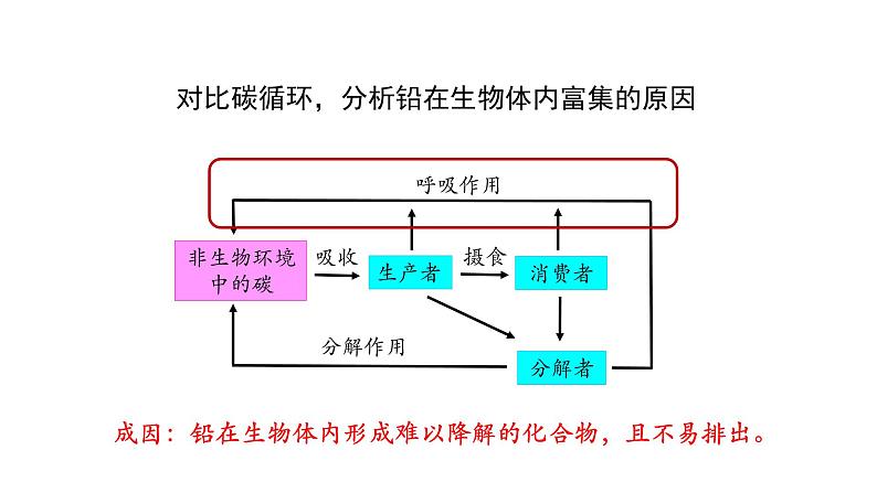 3.3生态系统的物质循环（第二课时）课件【新教材】人教版（2019）高中生物选择性必修二 第6页