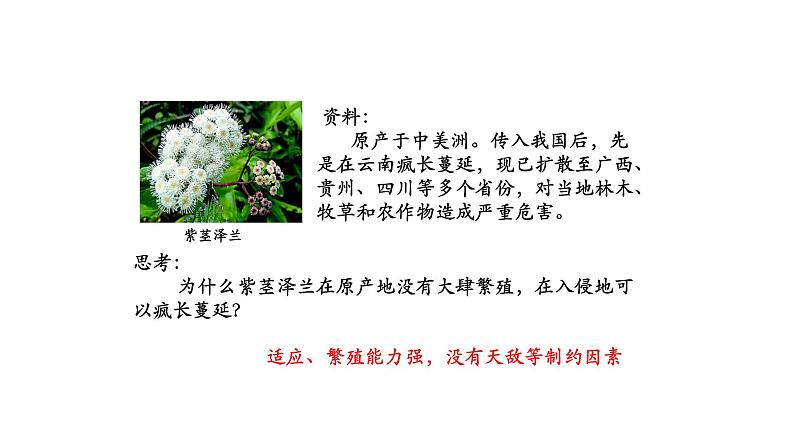 3.5生态系统的稳定性 【新教材】2021-2022学年人教版（2019）高二生物选择性必修二课件+教案+学案+同步练习02