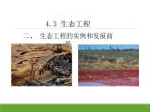 4.3.2 生态工程的实例和发展前景 【新教材】2021-2022学年人教版（2019）高二生物选择性必修二课件+教案+学案+同步练习