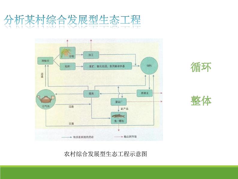 4.3.2 生态工程的实例和发展前景课件【新教材】人教版（2019）高中生物选择性必修二 第4页