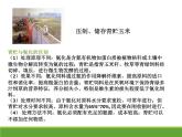 4.3.2 生态工程的实例和发展前景 【新教材】2021-2022学年人教版（2019）高二生物选择性必修二课件+教案+学案+同步练习