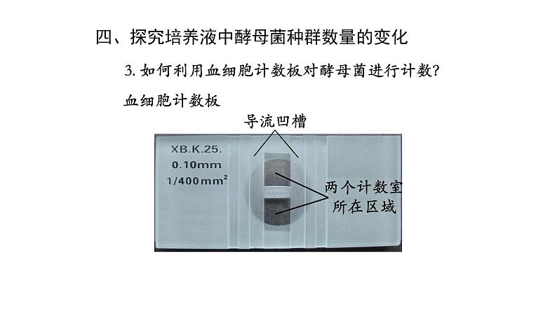 1.2种群数量的变化 【新教材】2021-2022学年人教版（2019）高二生物选择性必修二课件+教案+学案+同步练习06