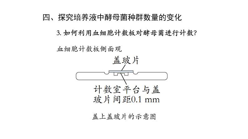 1.2种群数量的变化 【新教材】2021-2022学年人教版（2019）高二生物选择性必修二课件+教案+学案+同步练习07