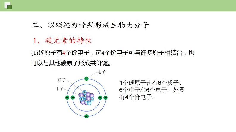 元素与生物大分子PPT课件免费下载06