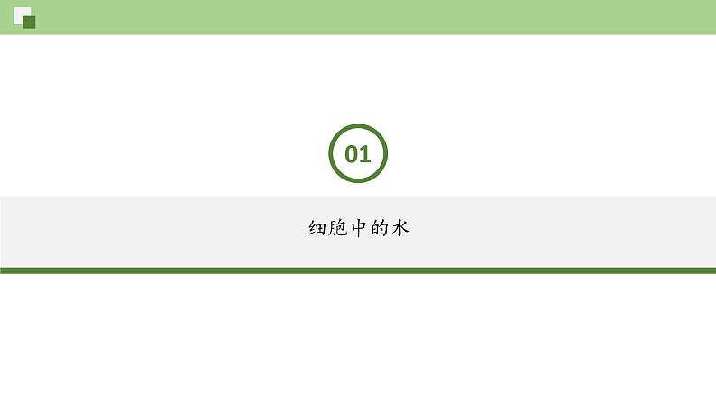 3.1 水和无机盐（课件）--2021-2022学年新教材北师大版高中生物必修1第2页