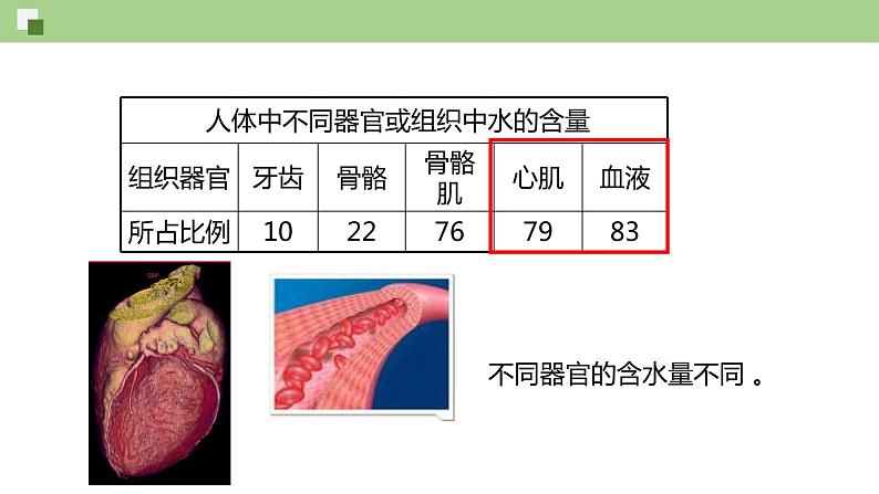 3.1 水和无机盐（课件）--2021-2022学年新教材北师大版高中生物必修1第5页