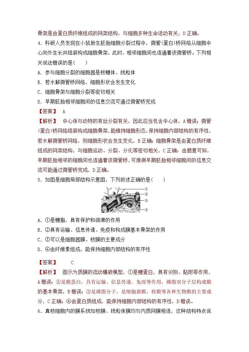 细胞骨架与内膜系统PPT课件免费下载02
