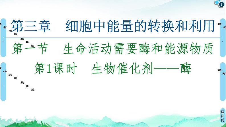 2021-2022学年苏教版（2019）高中生物 必修1 第3章 第1节　生命活动需要酶和能源物质课件+课时练01