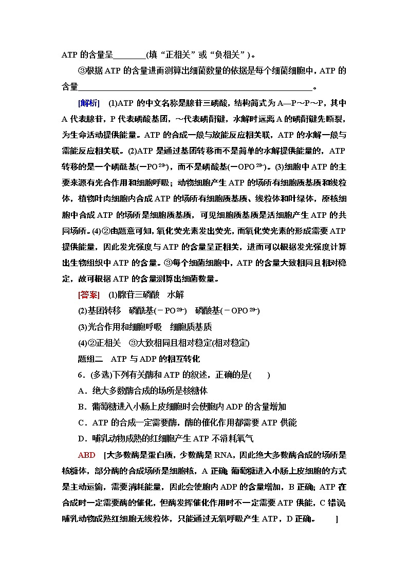 课时分层作业13　ATP是驱动细胞生命活动的直接能源物质第3页