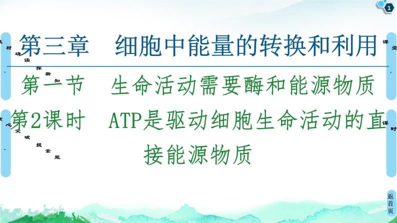 2021-2022学年苏教版（2019）高中生物 必修1 第3章 第1节　生命活动需要酶和能源物质课件+课时练01