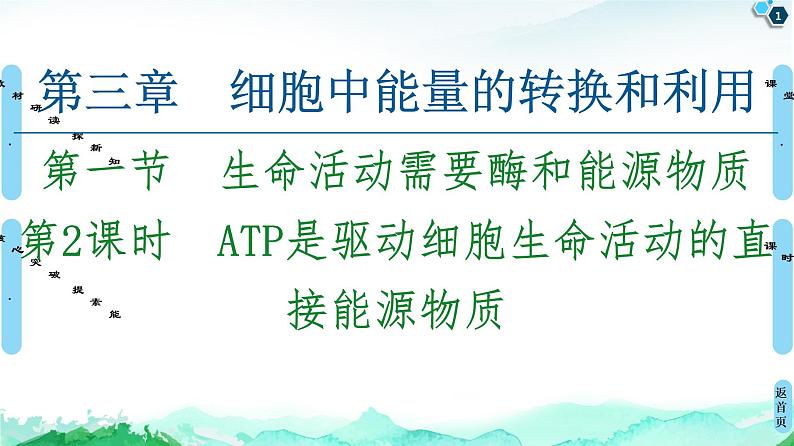 2021-2022学年苏教版（2019）高中生物 必修1 第3章 第1节　生命活动需要酶和能源物质课件+课时练01