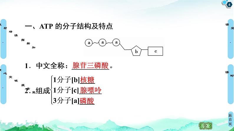 2021-2022学年苏教版（2019）高中生物 必修1 第3章 第1节　生命活动需要酶和能源物质课件+课时练04