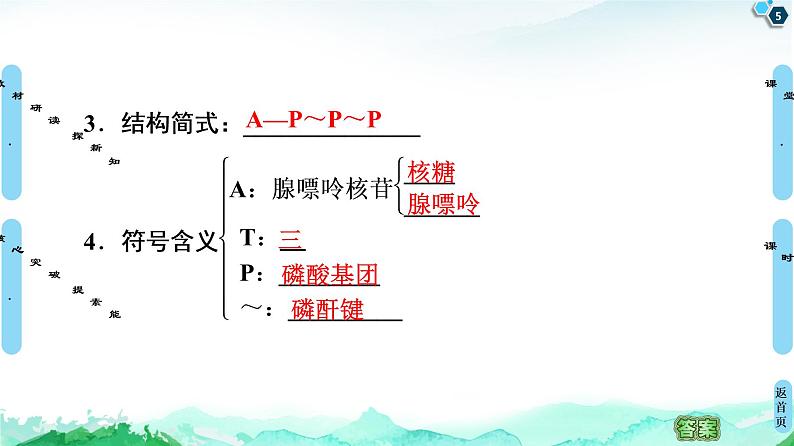 2021-2022学年苏教版（2019）高中生物 必修1 第3章 第1节　生命活动需要酶和能源物质课件+课时练05