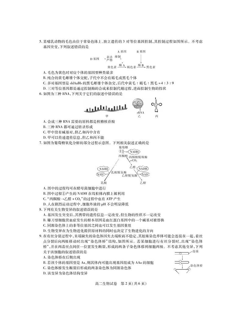 2021年湖北高二下统一调研测试生物期末考·试卷第2页