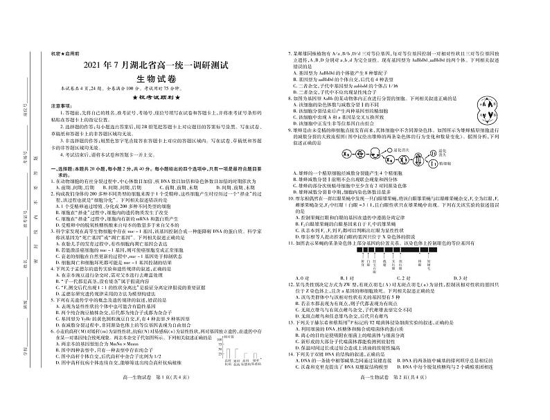 2021年湖北高一下生物期末考·试卷第1页