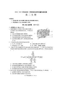 2020-2021学年陕西省渭南市大荔县高二上学期期末考试生物试题 pdf版