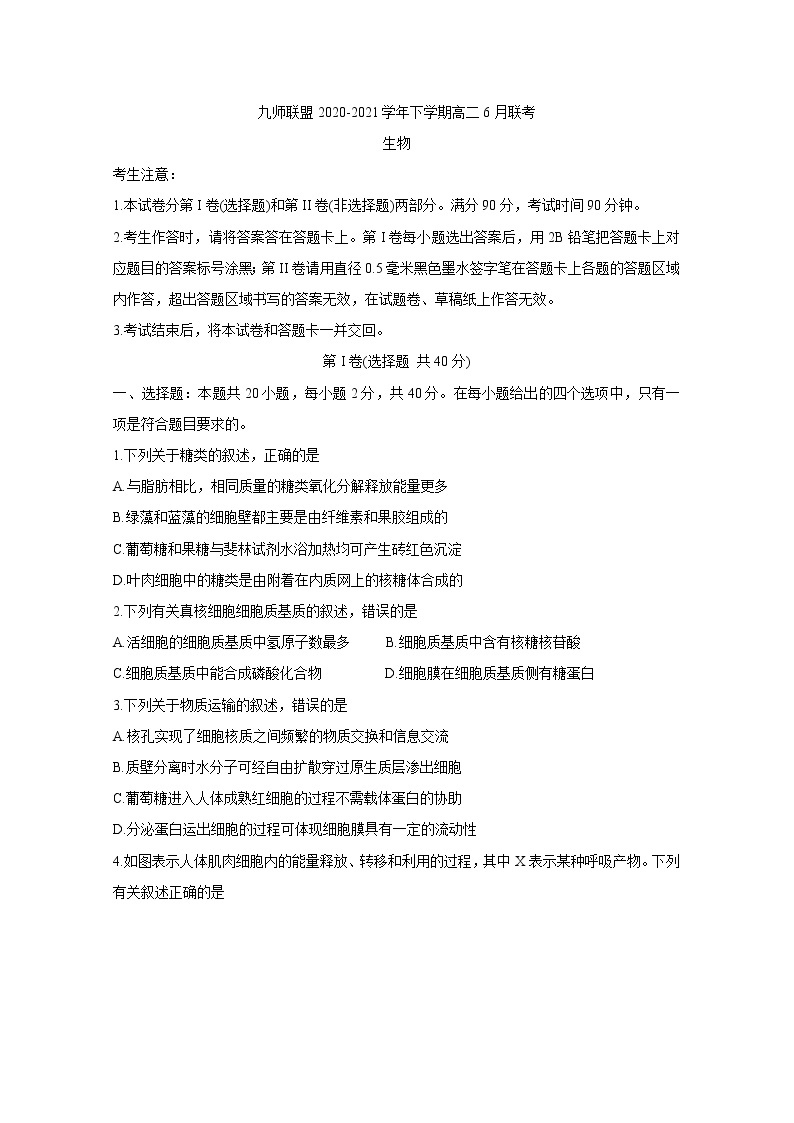 河南省九师联盟2020-2021学年下学期高二6月联考 生物 Word版含答案 试卷01