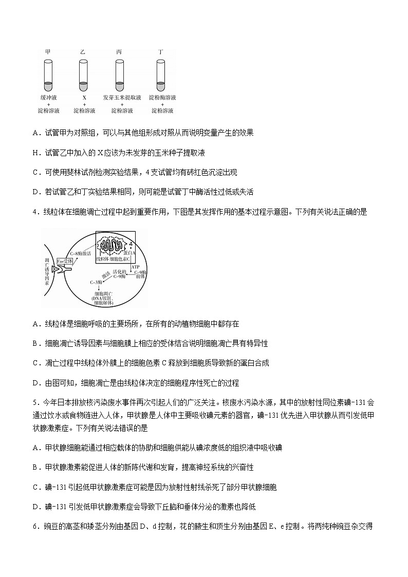 广东省汕尾市2020-2021学年高二下学期期末考试 生物试题 Word版含答案02