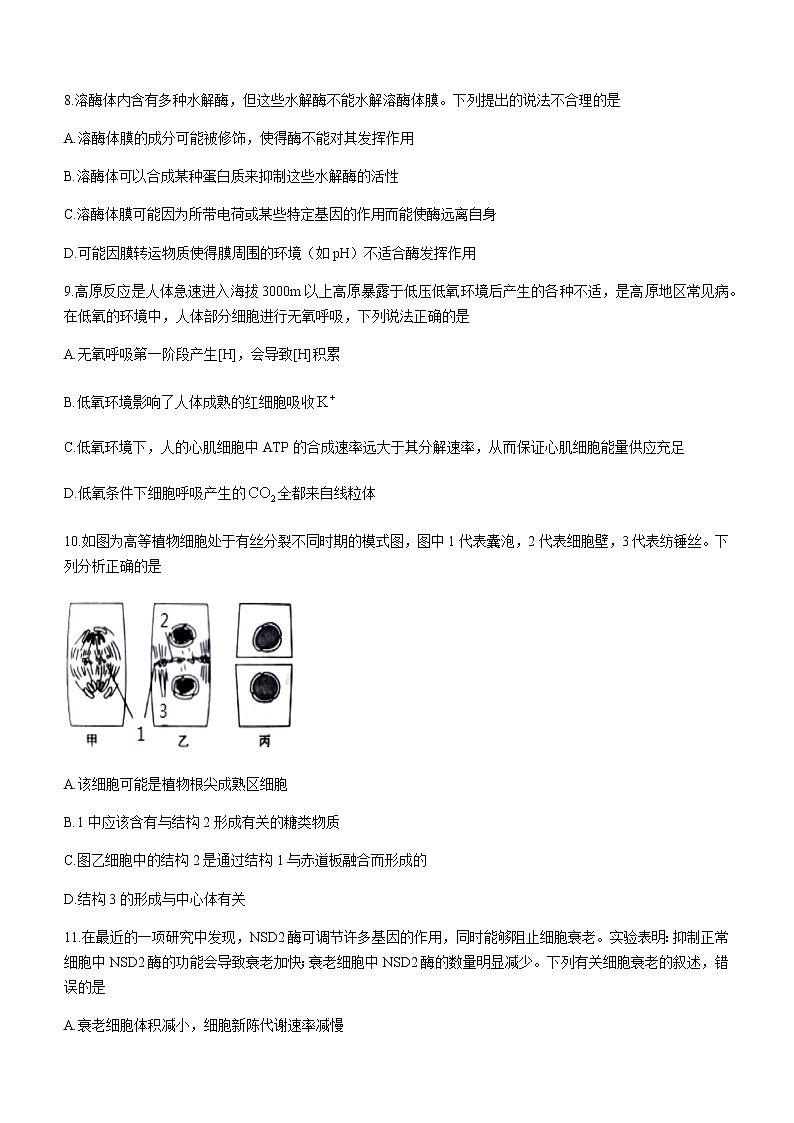 辽宁省丹东市2020-2021学年高二下学期期末教学质量监测 生物试题 Word版含答案第3页