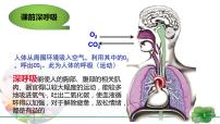 苏教版 (2019)必修1《分子与细胞》第三节 细胞呼吸——能量的转化和利用一等奖备课作业习题课件ppt