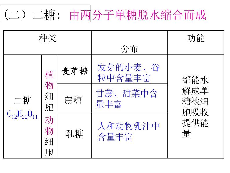 2.3 细胞中的糖类和脂质-【新教材】人教版（2019）高中生物必修1同步课件精讲+习题精练08