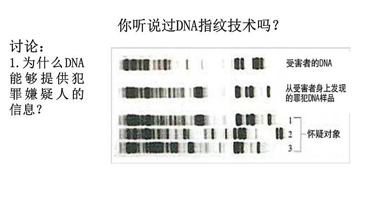 2.5 核酸是遗传信息的携带者（课件精讲）-【新教材】人教版（2019）高中生物必修1同步课件精讲+习题精练第1页