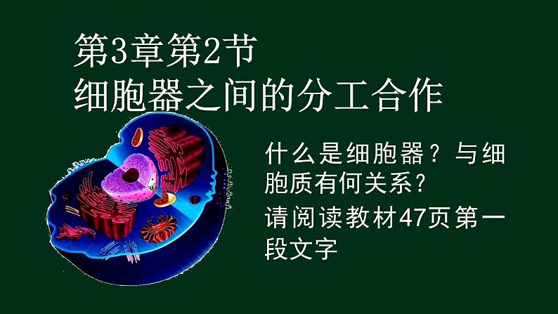 3.2 细胞器-【新教材】人教版（2019）高中生物必修1同步课件精讲+习题精练02
