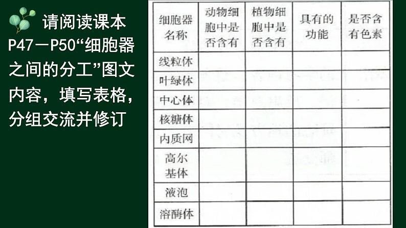 3.2 细胞器-【新教材】人教版（2019）高中生物必修1同步课件精讲+习题精练05