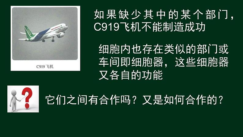 3.2 细胞器-【新教材】人教版（2019）高中生物必修1同步课件精讲+习题精练03