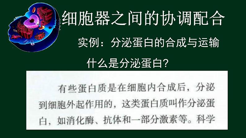 3.2 细胞器-【新教材】人教版（2019）高中生物必修1同步课件精讲+习题精练04