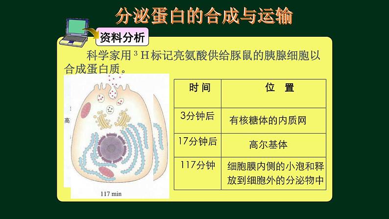3.2 细胞器-【新教材】人教版（2019）高中生物必修1同步课件精讲+习题精练06