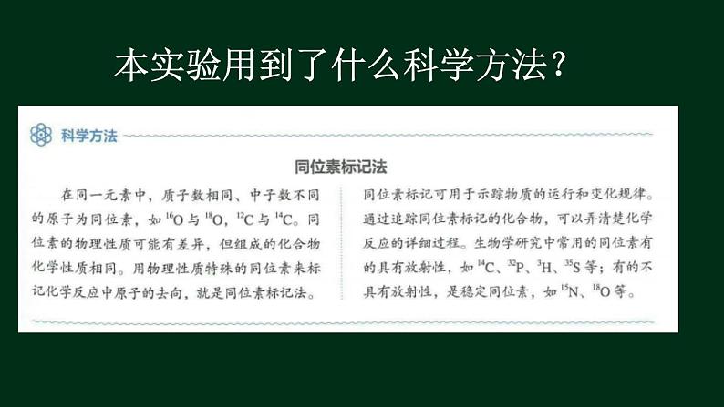 3.2 细胞器-【新教材】人教版（2019）高中生物必修1同步课件精讲+习题精练08