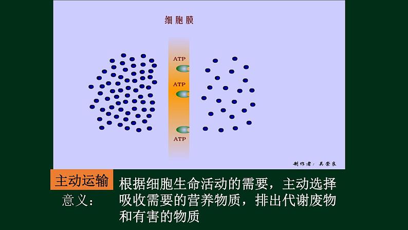 4.2 主动运输-【新教材】人教版（2019）高中生物必修1同步课件精讲+习题精练06