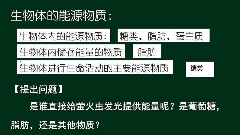 5.2 细胞的能量货币ATP-【新教材】人教版（2019）高中生物必修1同步课件精讲+习题精练03