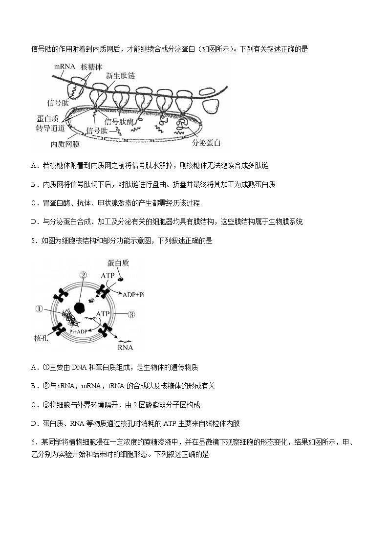广东省肇庆市2020-2021学年高二下学期期末教学质量检测生物试题 Word版含答案第2页