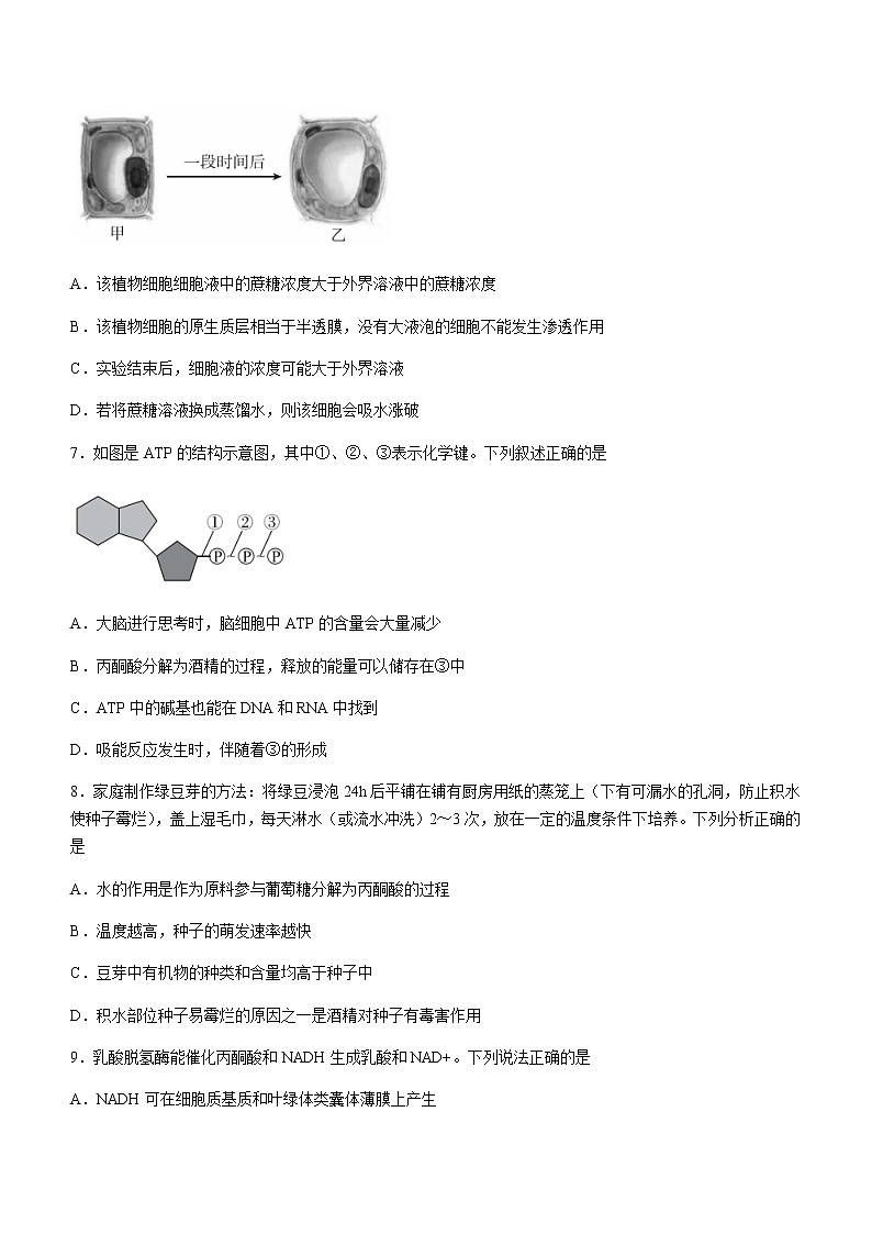 广东省肇庆市2020-2021学年高二下学期期末教学质量检测生物试题 Word版含答案第3页