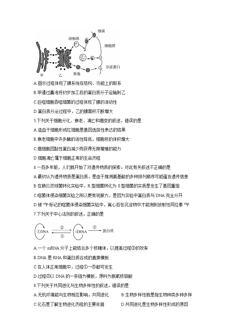 广东省普宁市2020-2021学年高二下学期期末考试 生物 Word版含答案02