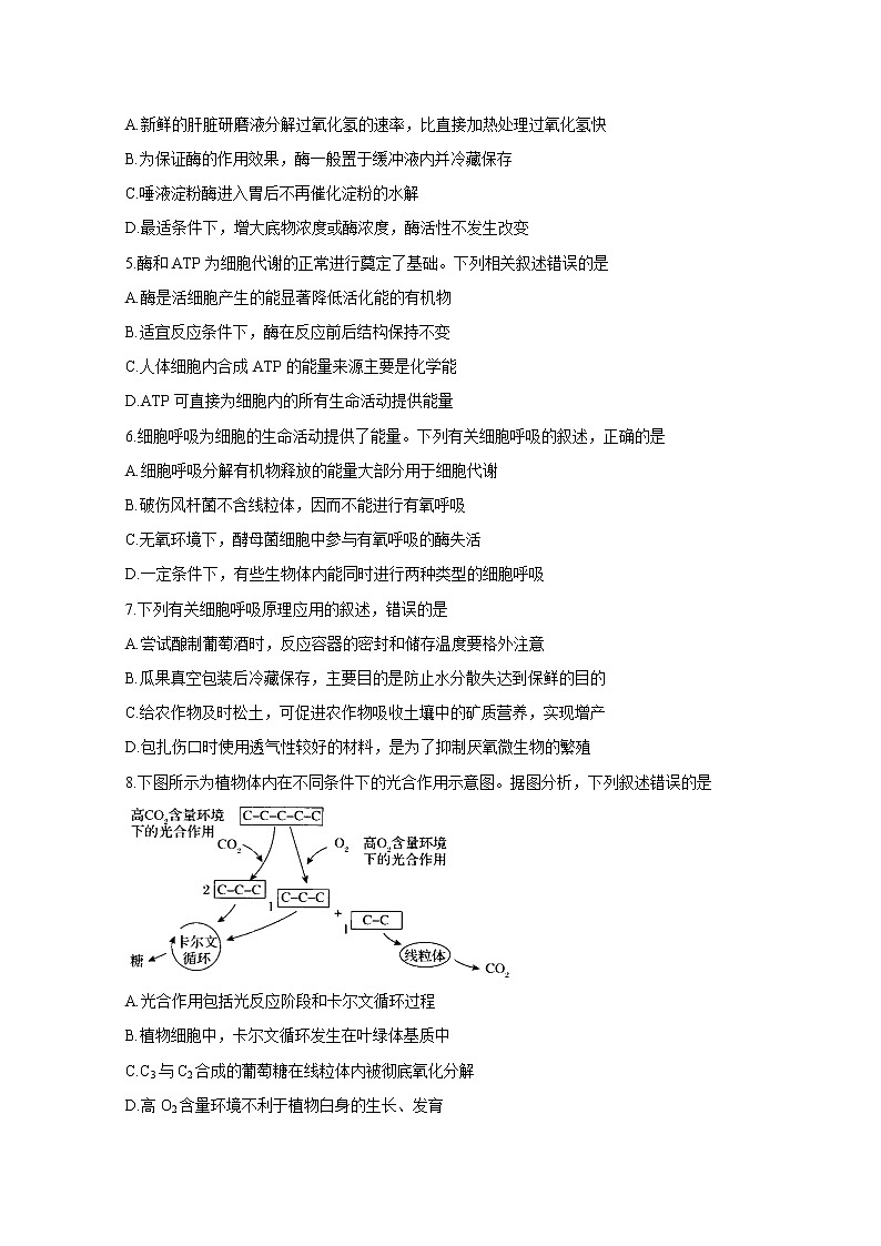 河南省“顶尖计划”2020-2021学年高二下学期期末联考 生物 Word版含答案 试卷02
