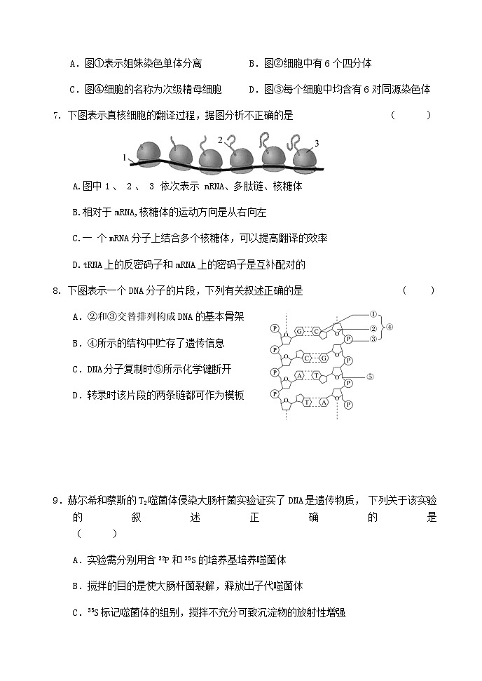 北京市延庆区2020-2021学年高二下学期期末考试生物试题 Word版含答案03