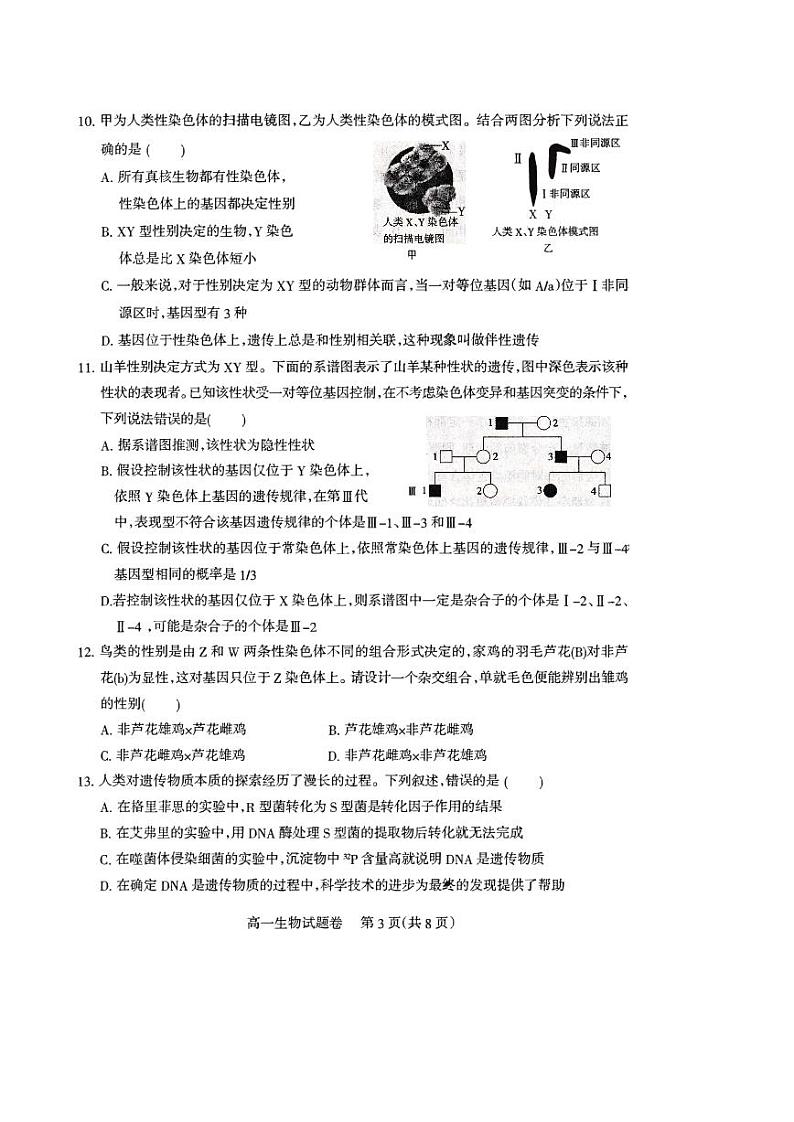 2020-2021学年四川省凉山州高一下学期期末检测生物试题 PDF版03