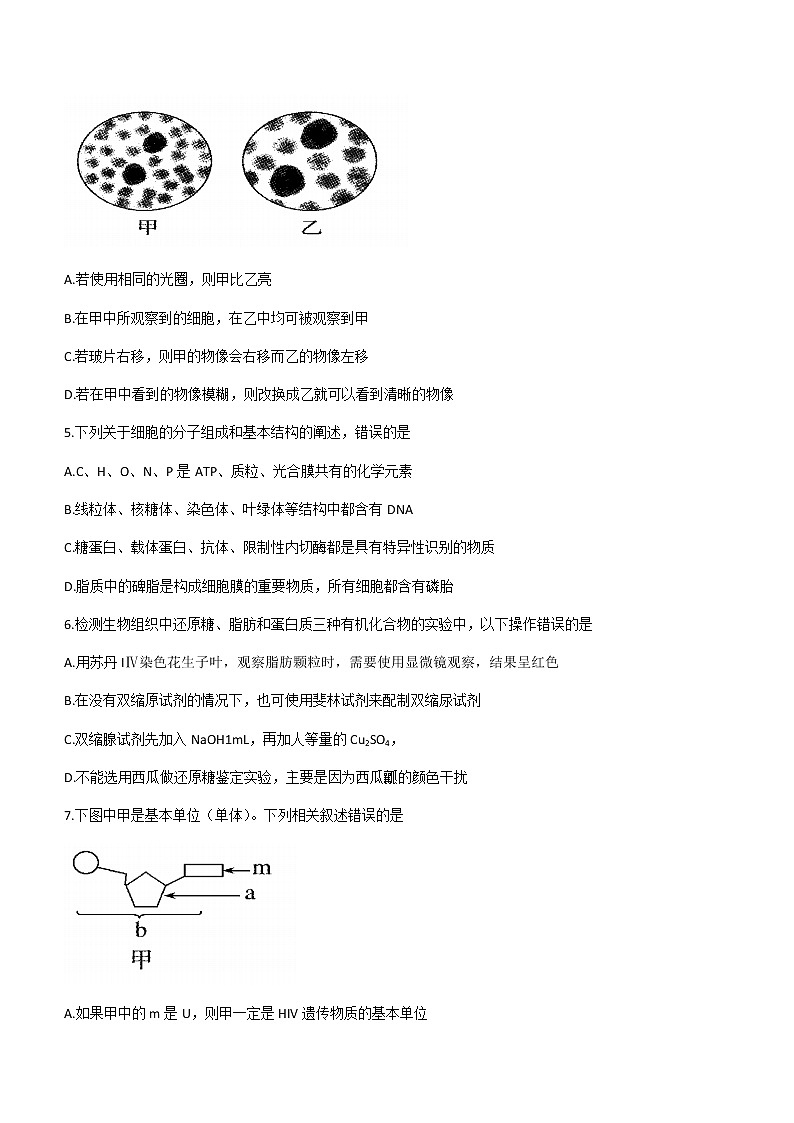 四川省乐山市2020-2021学年高二下学期期末考试生物试卷 Word版含答案02
