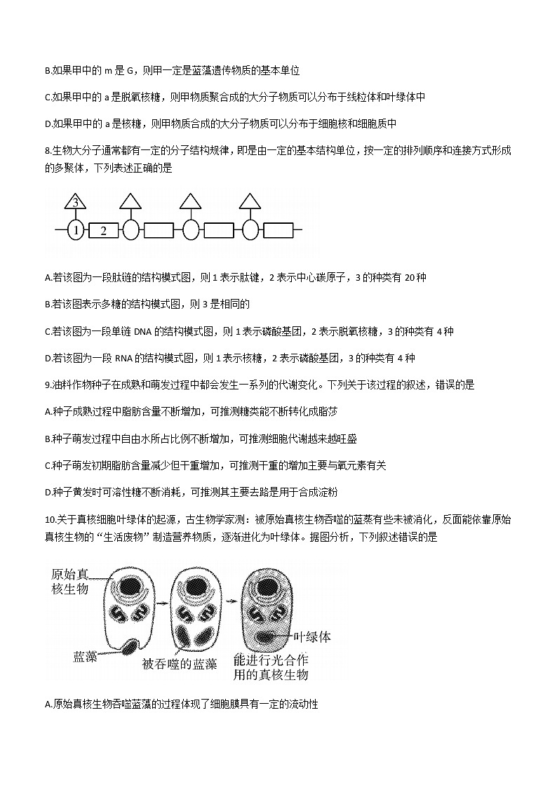 四川省乐山市2020-2021学年高二下学期期末考试生物试卷 Word版含答案03