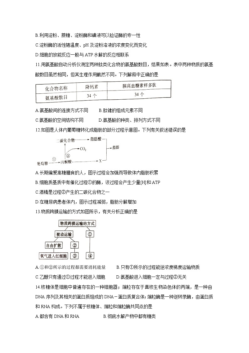 河南省许昌市2020-2021学年高二下学期期末质量检测 生物 Word版含答案第3页