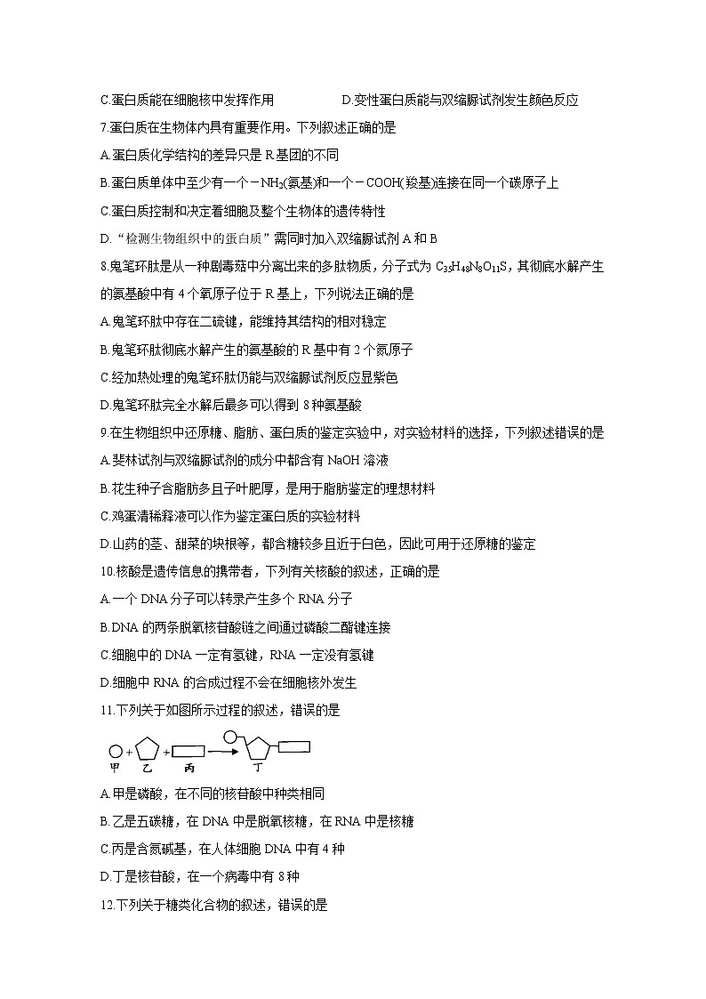 河南省洛阳市豫西名校2020-2021学年高二下学期期末联考 生物 Word版含答案第2页