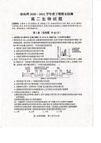 2020-2021学年四川省凉山州高二下学期期末检测生物试题 PDF版