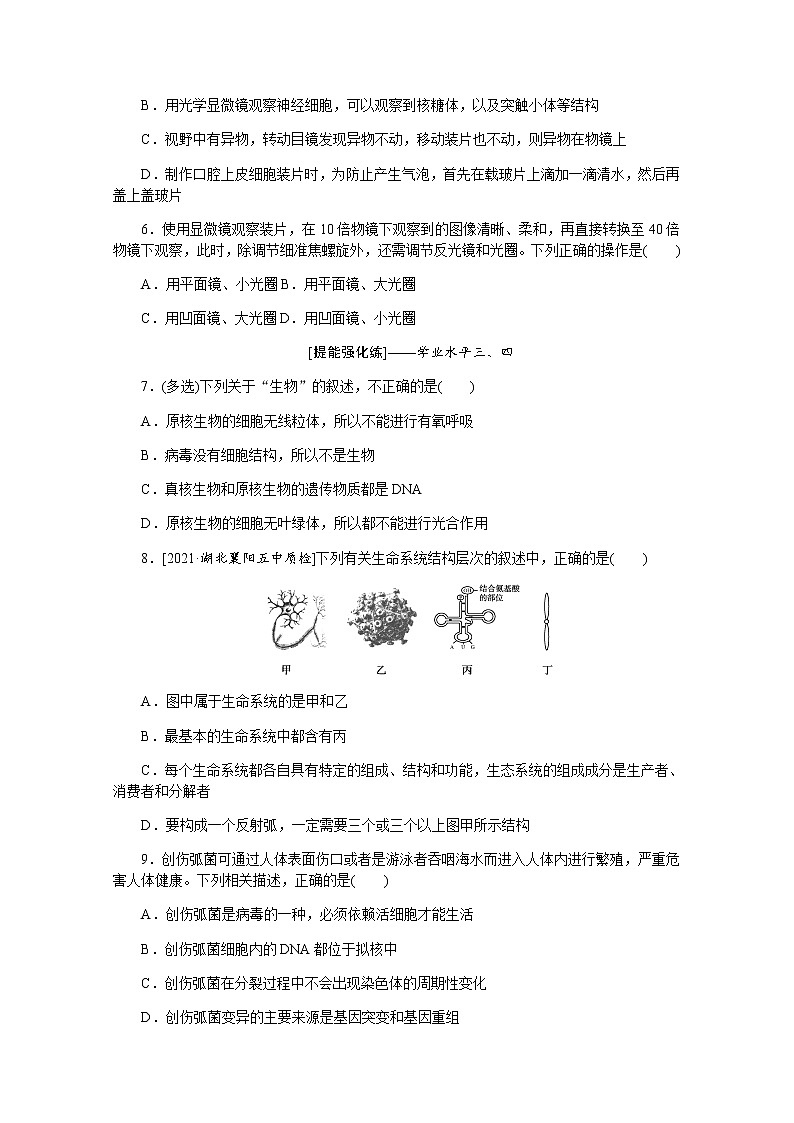 【新教材】2022届新高考生物一轮复习课后检测：1+借助显微镜　走近细胞+Word版含解析第2页